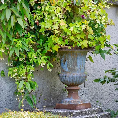 Апартаменты Rafael F2 Bourgeois Avec Jardin