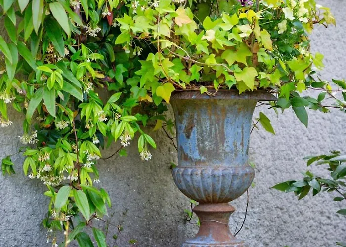 Appartement Rafael F2 Bourgeois Avec Jardin