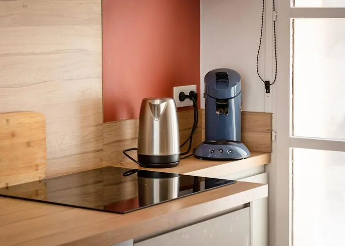 דירה Rafael F2 Bourgeois Avec Jardin רואן